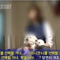 선 넘는 개그가 취향이라 참 난감하다