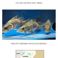아프리카 대호수가 말라버린 이유