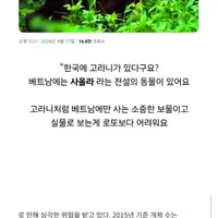 한국에 고라니가 있다니까 베트남의 반응