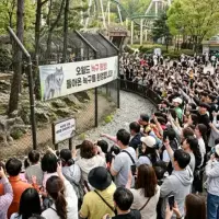 늑구 돌아온 대전 오월드 풍경 예상
