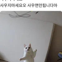 미륵사지 석탑 보고왔어 일본이 콘크리트 부어놓은거 18년동안 복원했대.x