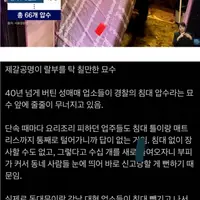 성매매 단속을 위한 한국 경찰의 신박한 아이디어가 과학적인 이유