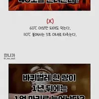 세스코가 밝히는 바선생의 진실