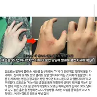 물 500ml 주고 3시간 땡볕에 세워둬…'예비군 사망' 폭로 논란