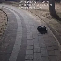 즐거운 아들 키우기