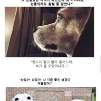 소년만화 클리셰 모음