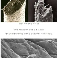 의외로 생산하는 나라가 적은 제품