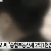 날벼락 세금 2억을 낼 수 없다는 28세 청년...
