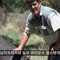애완 하마를 가족처럼 길들인 남자