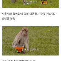 BBC가 실험한 남녀의 근본적인 본능.