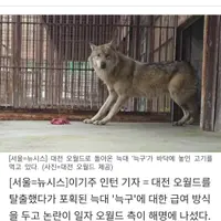 늑구 바닥 먹이 논란 해명나선 오월드