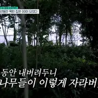 김숙이 2012년에 산 제주도집 근황