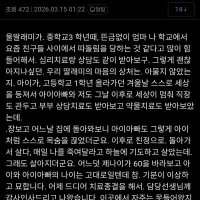 병원치료 종결했다는 조울증갤러