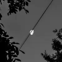사진력 키우는 방법