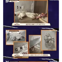 싱글벙글 16개월 아기를 문 리트리버