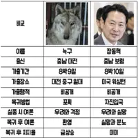 짐승과 인간(?) 의 다른 점