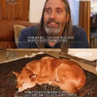 미쿡에 점점 퍼지기 시작한 K견종
