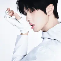 공계에 올라온 아이돌 사진에 손가락이 6개임
