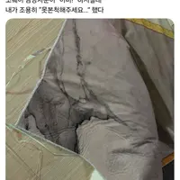 모르는 사람 와서 숨었는데 살짝 덜 숨은 냥이