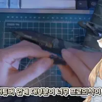 버튜버는 프로의식이 부족하다