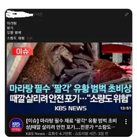 마라탕 원재료 팔각 유황범벅 소량도 위험