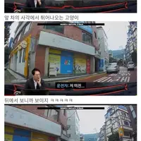 한문철 얼척얼척 캣부부