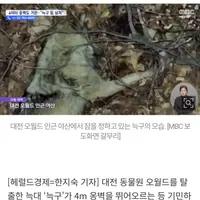 늑구 근황 ㅋㅋㅋ