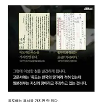 독도가 누가 땅이냐는 말에 말문이 막힌 교수님.