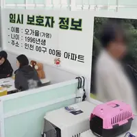 (사진주의) 임시 보호를 맡긴 반려견이 갑자기 죽었다는 문자와 함께 잠적해버린 임보자
