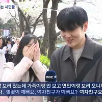 벚꽃구경하러 온 커플 인터뷰