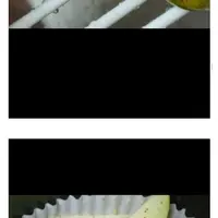 일톡 핫게에 나타난 만독불침