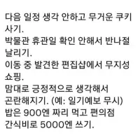 진짜 현실 P의 여행