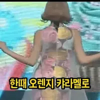 연예인 오렌지캬라멜 레이나 근황