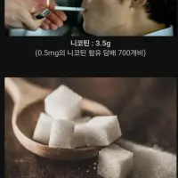 많이 먹으면 죽을수도 있다는 음식