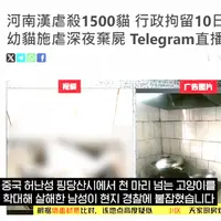 중국 학대범 검거