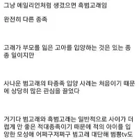 다른종 고래를 입양한 암컷 범고래