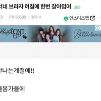 너네 브라자 며칠에 한번 갈아입어
