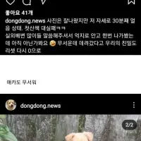 소심한 댕댕이 입양 후기