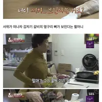 싱글벙글 할매한테 댕댕이 맡기면 안되는 이유