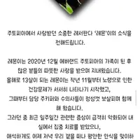 에버랜드 레서판다 '레몬'이 어제 저녁 레서판다별로 돌아감