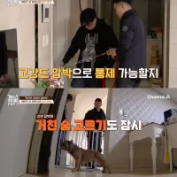 싱글벙글 강형욱도 포기한 싸패견