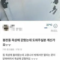 5천원 당근 알바