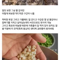 한국인에게 잘못 걸린 생태계 교란종