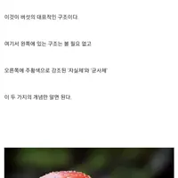 싱글벙글 산불이 발생했을때만 활동한다는 버섯