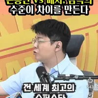 "손흥민이 메시처럼 못하는건 홍명보탓"