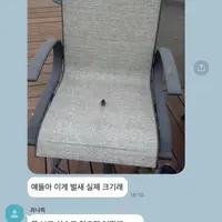 벌새 실제 크기래 못 보고 실수로 앉으면 어떡해ㅠㅠ