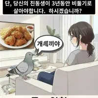 친동생이 3년동안 비둘기로 살면 나한테 세후 20억 줌