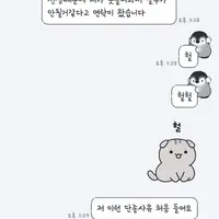 트럼프가 한국 급식을 공격하고 있습니다