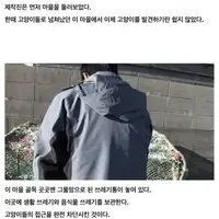 대마도에서 길고양이에게 먹이주면 안되는 EU