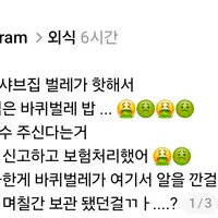 [스레드 펌] 작년에 내가 먹은 바퀴벌레 밥... 🤮🤢 (사진주의!!!!)